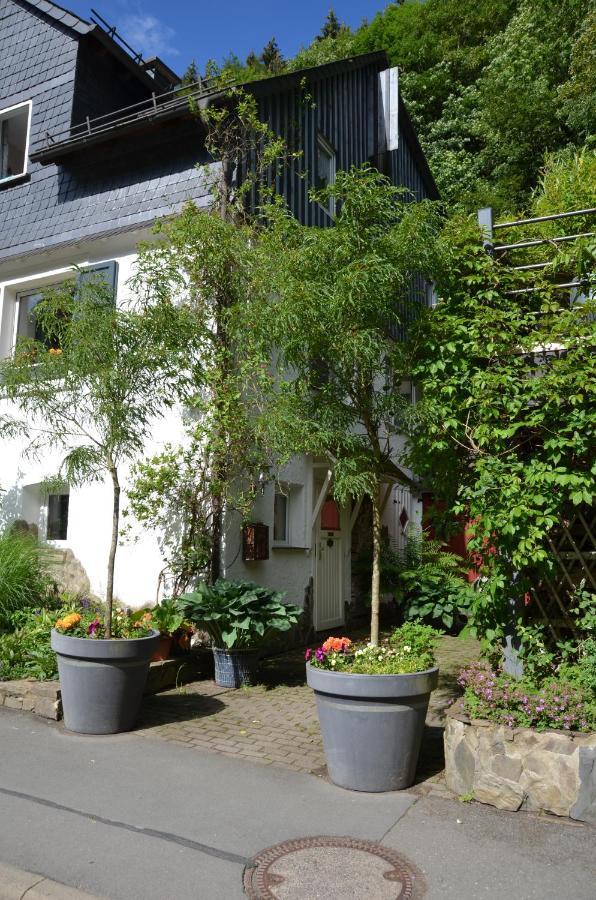 Birgits Landhaus Willingen Willingen  Exterior photo